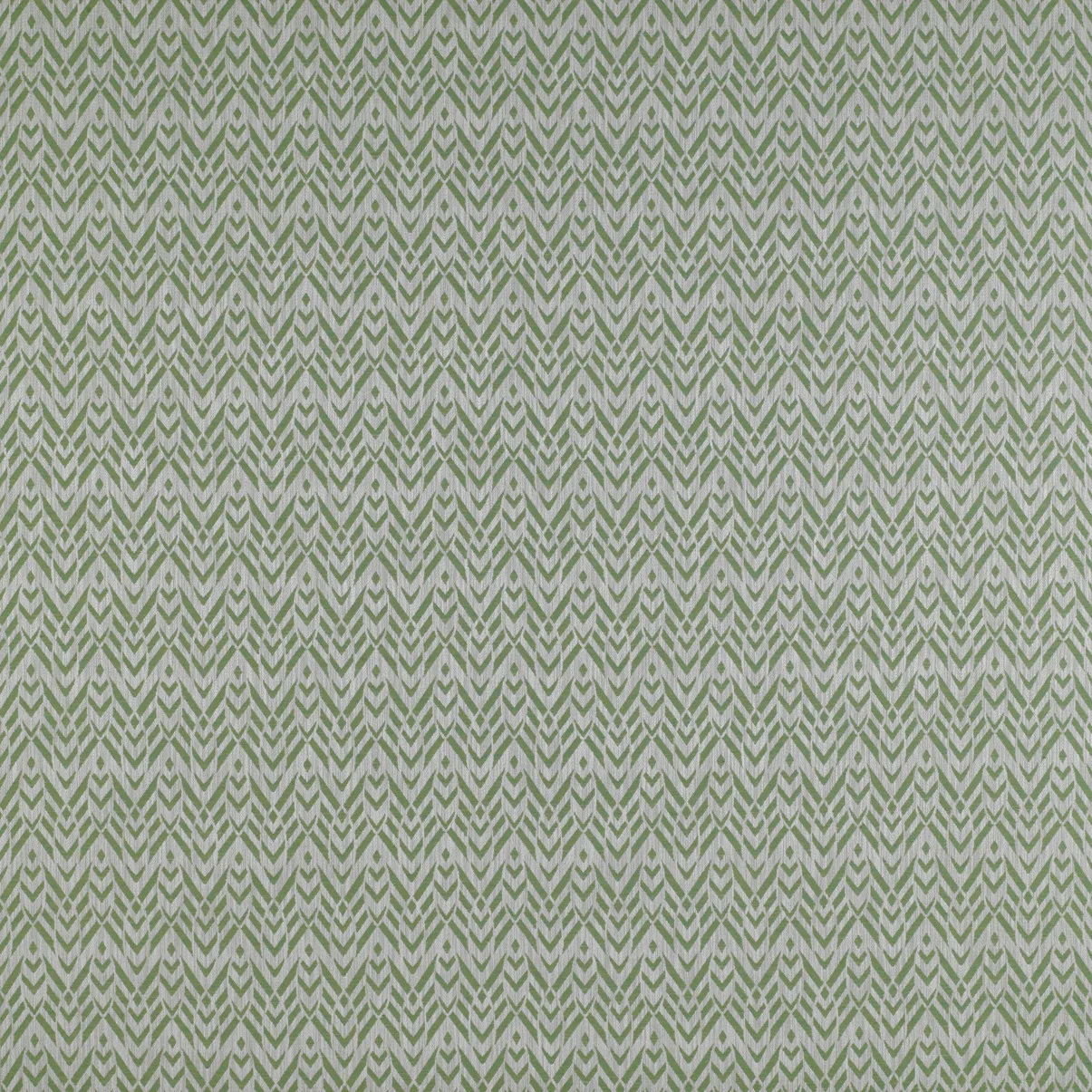 Cervantes Verde de Gastón y Daniela – imagen principal