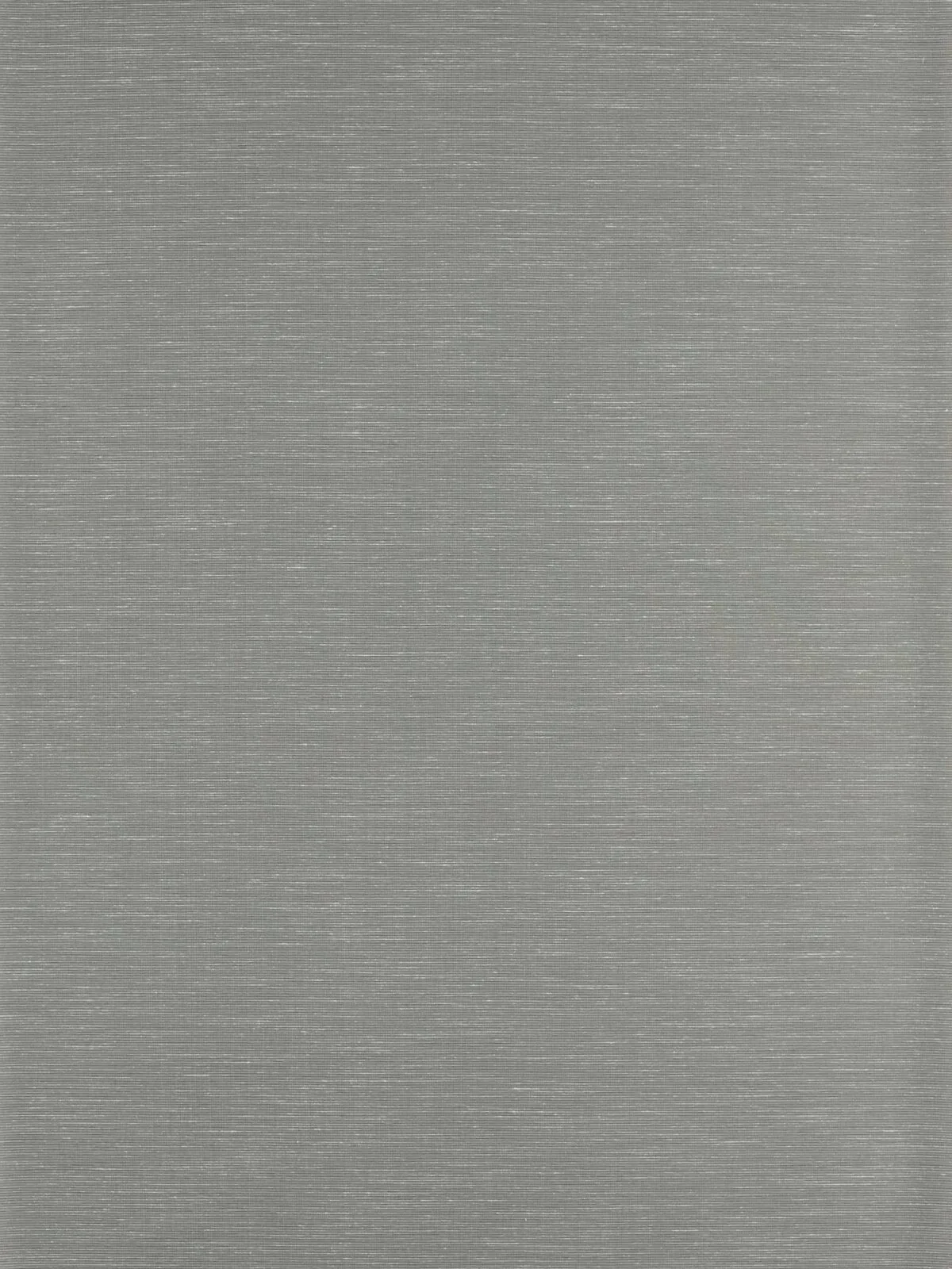 Papel Pintado Rushes Silver Birch de Gastón y Daniela – imagen principal