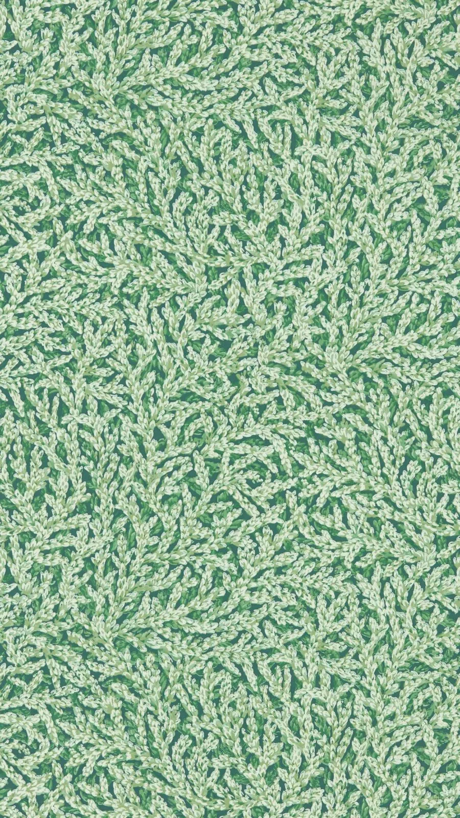 Papel Pintado Nootka Poison de Gastón y Daniela – imagen principal