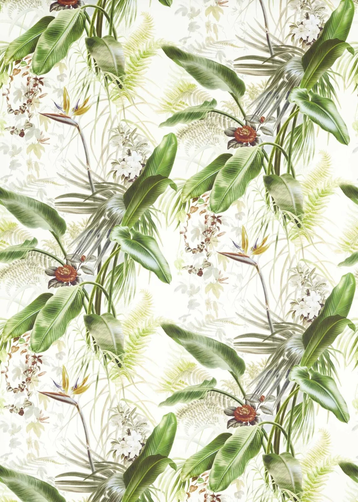 Papel Pintado Paradise Row Evergreen de Gastón y Daniela – imagen principal