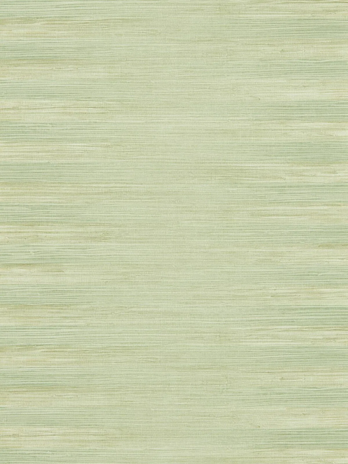 Papel Pintado Kensington Grasscloth Evergreen de Gastón y Daniela – imagen principal