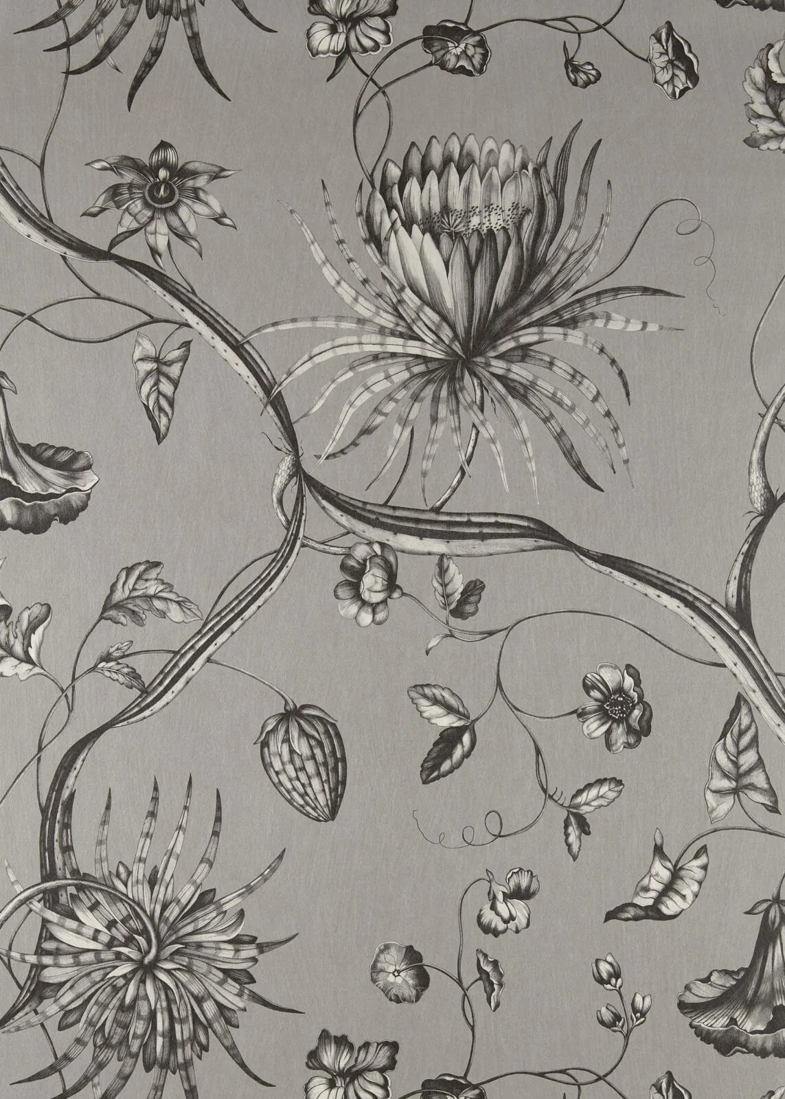 Papel Pintado Phaedra Silver de Gastón y Daniela – imagen principal